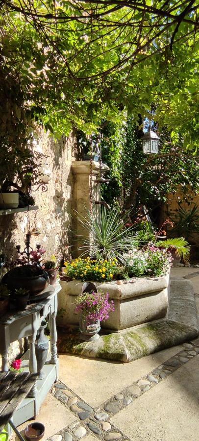 Villa Fontilha Usclas-l'Herault ภายนอก รูปภาพ